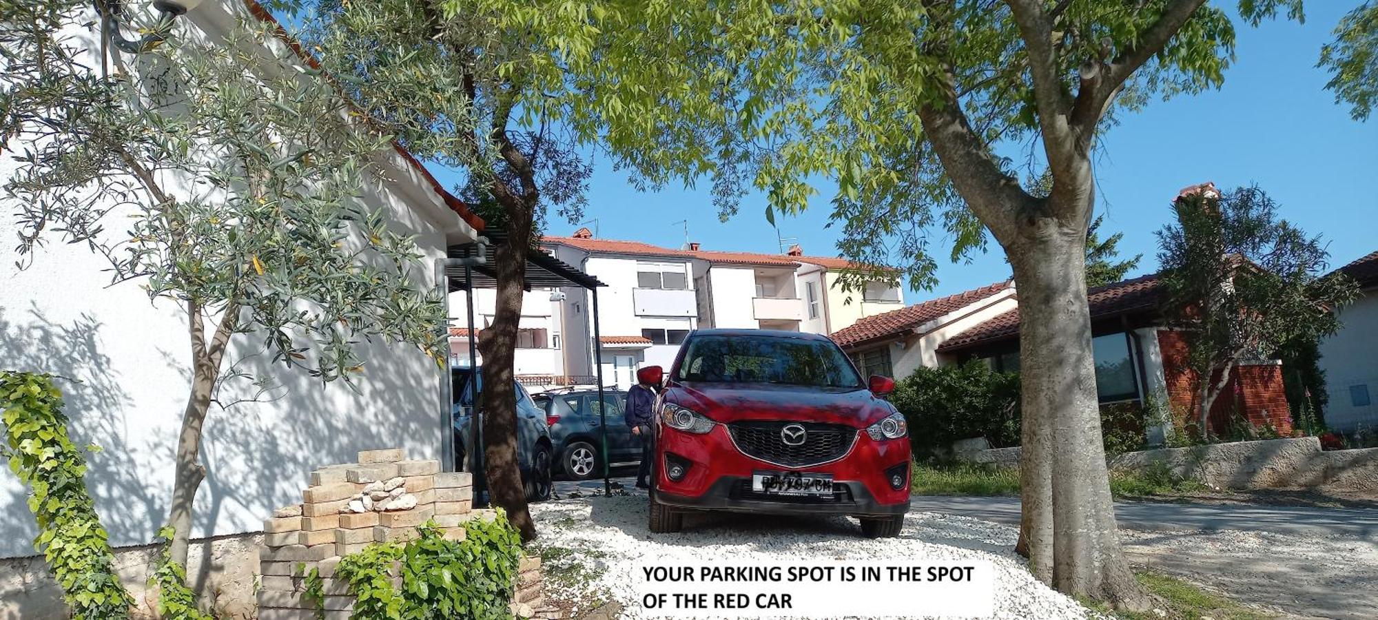 Bilini Garden Apartment พูลา ภายนอก รูปภาพ